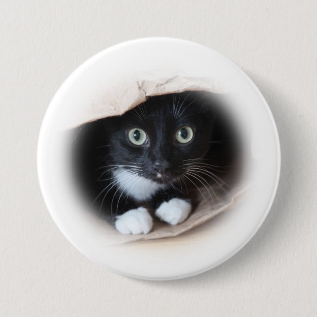 Cat in a b ag pinback button (Front)