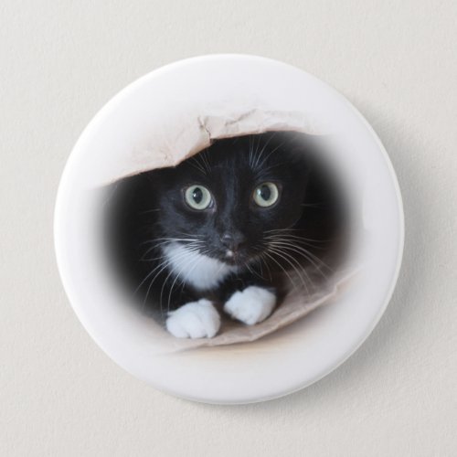 Cat in a b ag pinback button