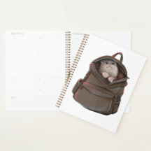 Cat in a Backpack Planner – Whimsical Autumn