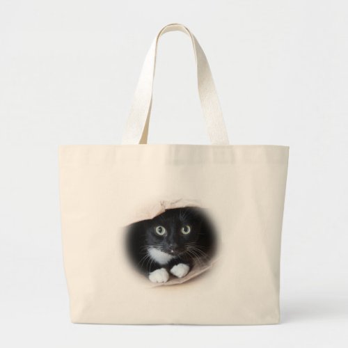 Cat in a bag