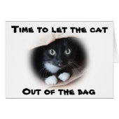 Cat in a bag (Front Horizontal)