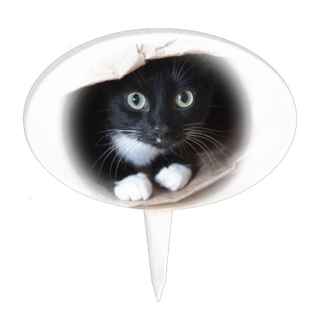 Cat in a bag cake topper (Front)