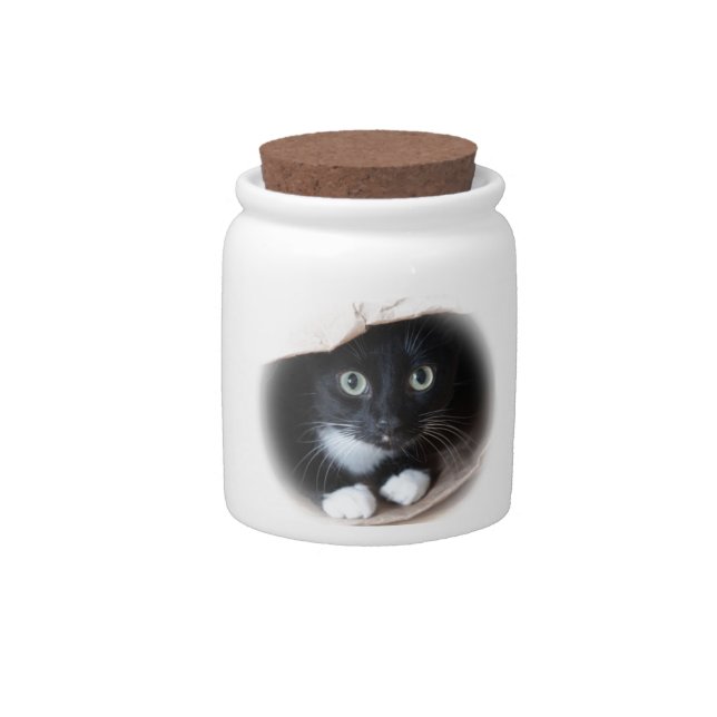 Cat in a bag candy jar (Front)