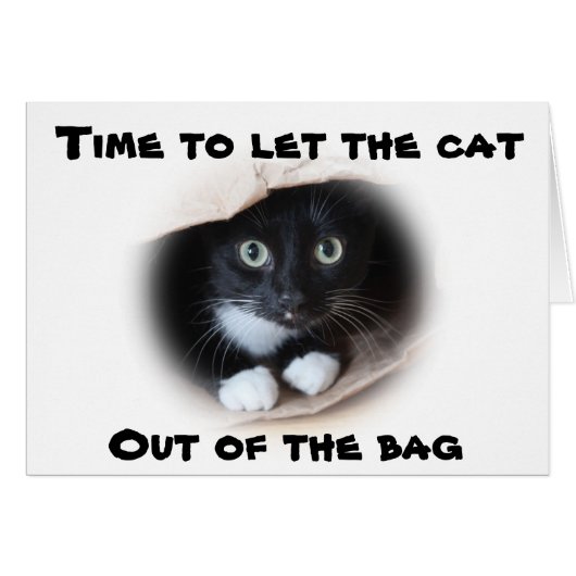 Cat in a bag cards (Front Horizontal)