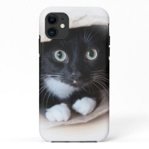 Cat in a bag iPhone 11 case