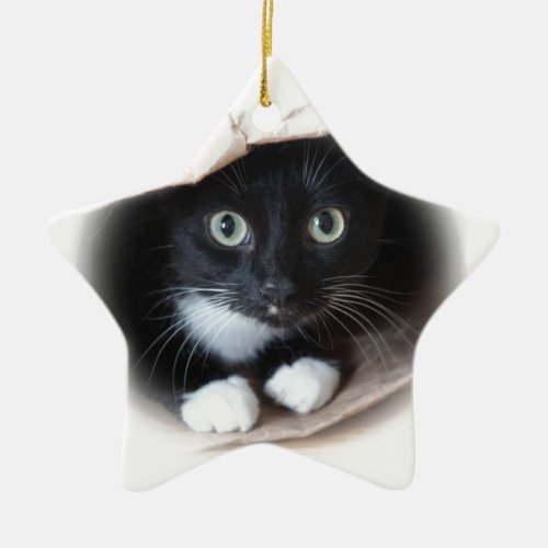 Cat in a bag ceramic ornament