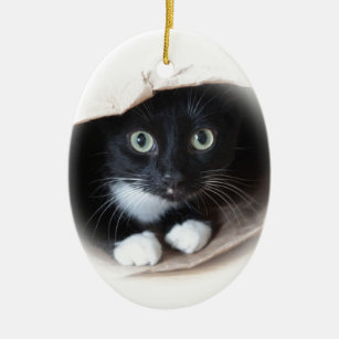 Black And White Cat Ornaments & Keepsake Ornaments | Zazzle