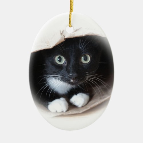 Cat in a bag ceramic ornament