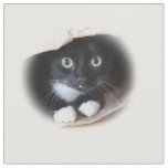 Cat in a bag fabric