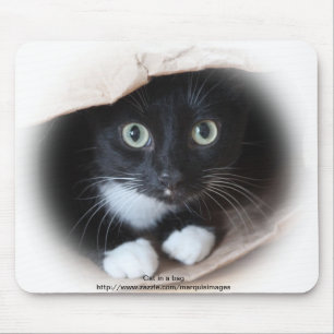 Cat in a bag mouse pad