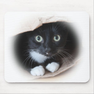 Cat in a bag mouse pad