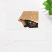 Cat in a bag profile card (Desk)