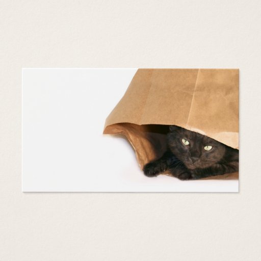Customizable Cat in a bag profile card business cards