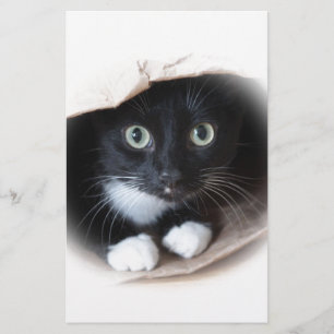 Cat in a bag stationery