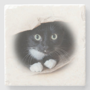 Cat in a bag stone coaster