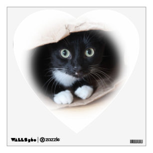 Cat in a bag wall sticker