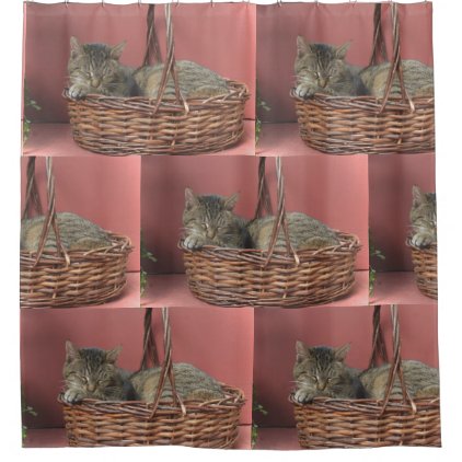 Cat In A Basket Shower Curtain
