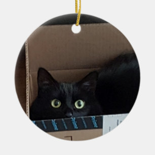 Cat in a box  ceramic ornament