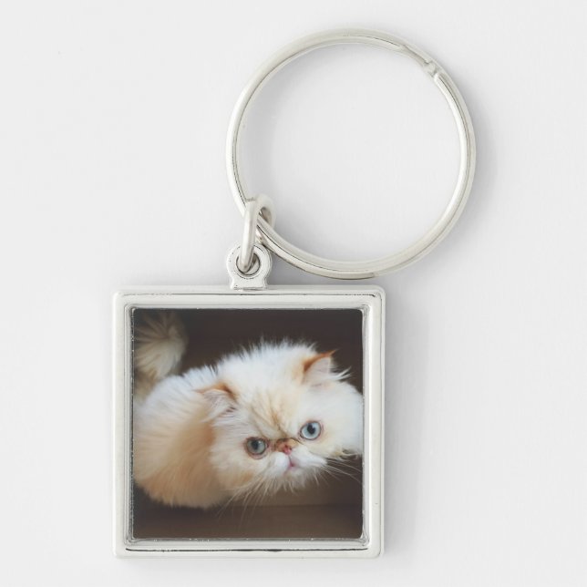 Cat In A Box Keychain (Front)