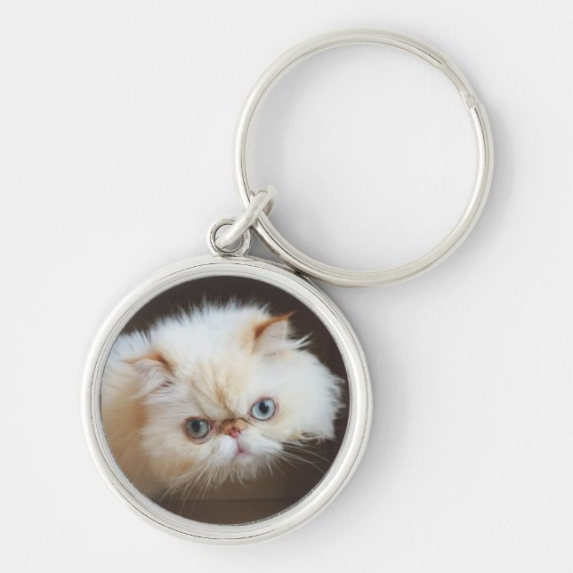 Cat In A Box Keychain (Front)