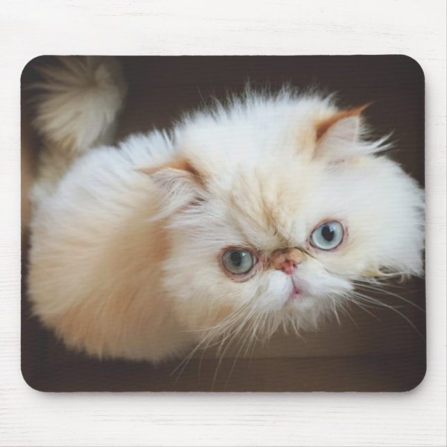 Cat In A Box Mouse Pad (Front)