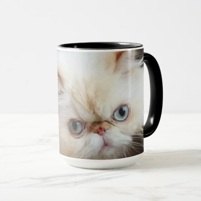 Cat In A Box Mug (Front Right)