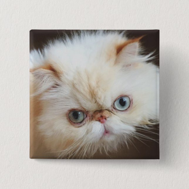 Cat In A Box Pinback Button (Front)