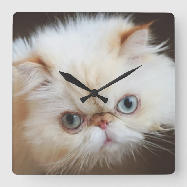 Cat In A Box Square Wall Clock (Front)