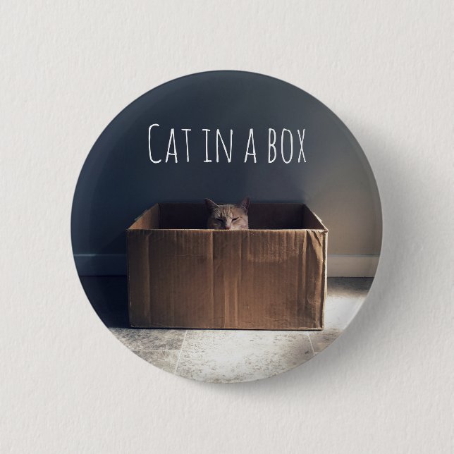 Cat in a box. The Zen cat master. Button (Front)
