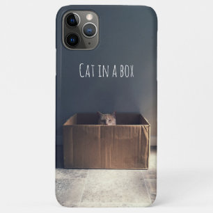 Cat in a box. The Zen cat master. iPhone 11 Pro Max Case