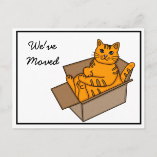 Cat in a Box "We're Moving" New Address   Announcement Postcard