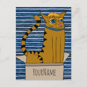 Cat in a Cardboard Box Cartoon Drawing Postcard