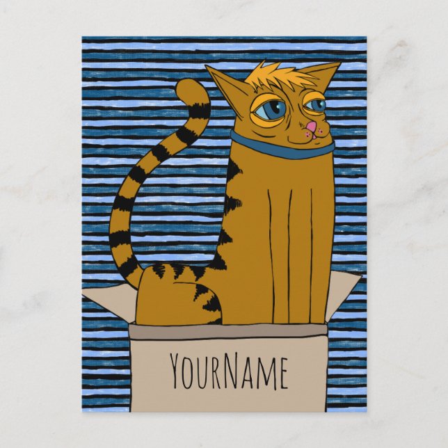 Cat in a Cardboard Box Cartoon Drawing Postcard (Front)