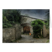 Cat in a courtyard (Front Horizontal)