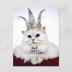 Cat in a Crown Invitation Postcard