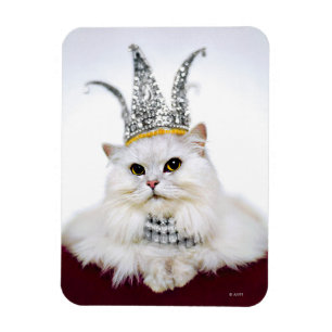 Cat in a Crown Magnet