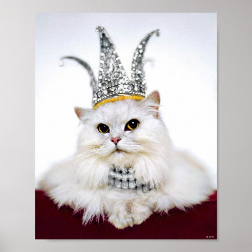 Cat in a Crown Poster