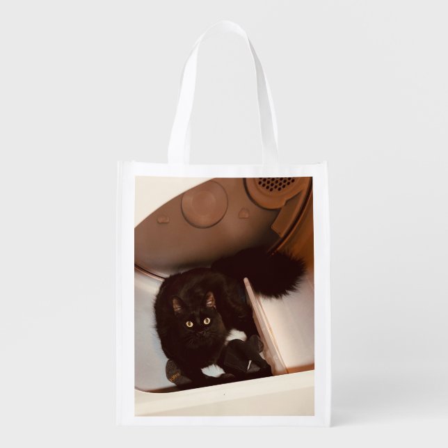 Cat in a Dryer Grocery Bag (Front)
