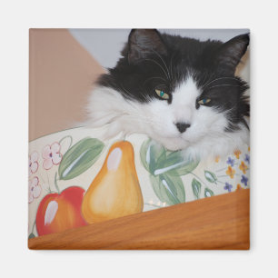 Cat in a Fruit Bowl Magnet