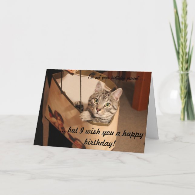 Cat in a gift bag card (Front)