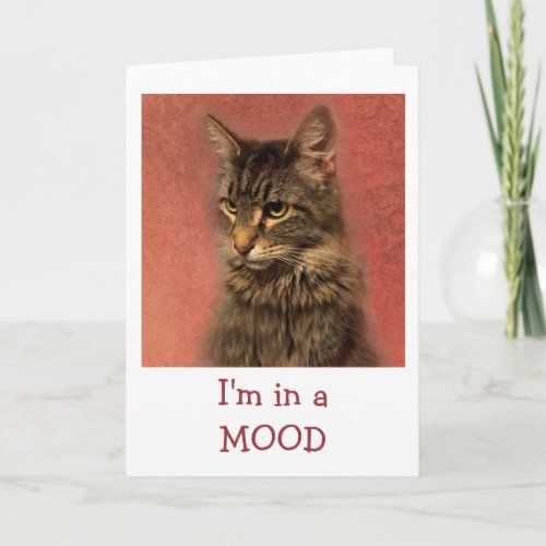 Cat In A Mood Get Well Card