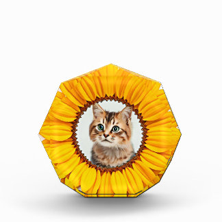 Cat in a Sunflower Acrylic Award