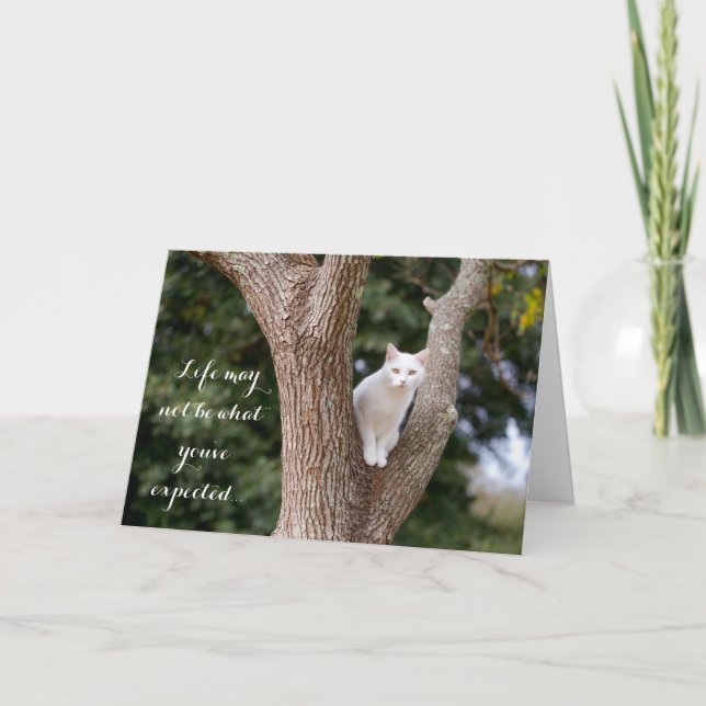 Cat in a Tree Notecard (Front)
