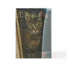 Cat in a Window Reflecting Thoughts of You