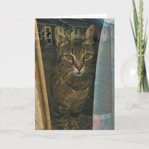 Cat in a Window Reflecting Thoughts of You Card