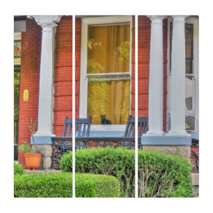 Cat in a Window Triptych