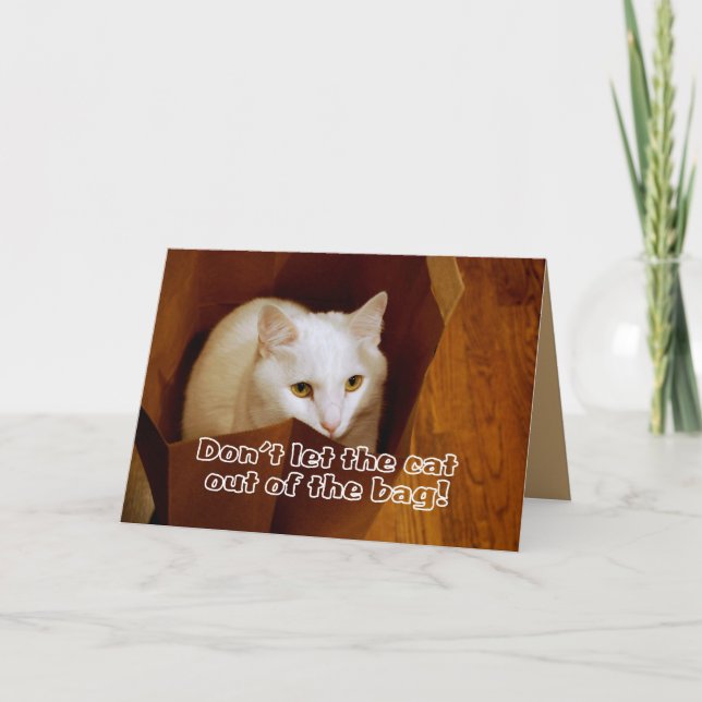 Cat in Bag Surprise Birthday Party Invitation (Front)