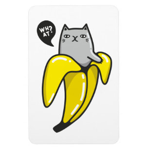 Cat in banana magnet