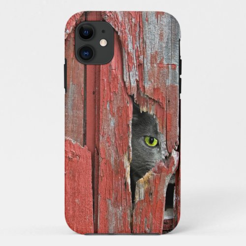 Cat in barn wood hole iPhone 11 case