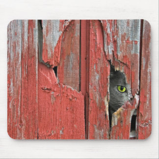Cat in barn wood hole mouse pad